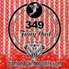 DMC 349 Round Fairy Dust Drill for Diamond Painting